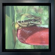 Chorus Frog on a Jalapeño Pepper